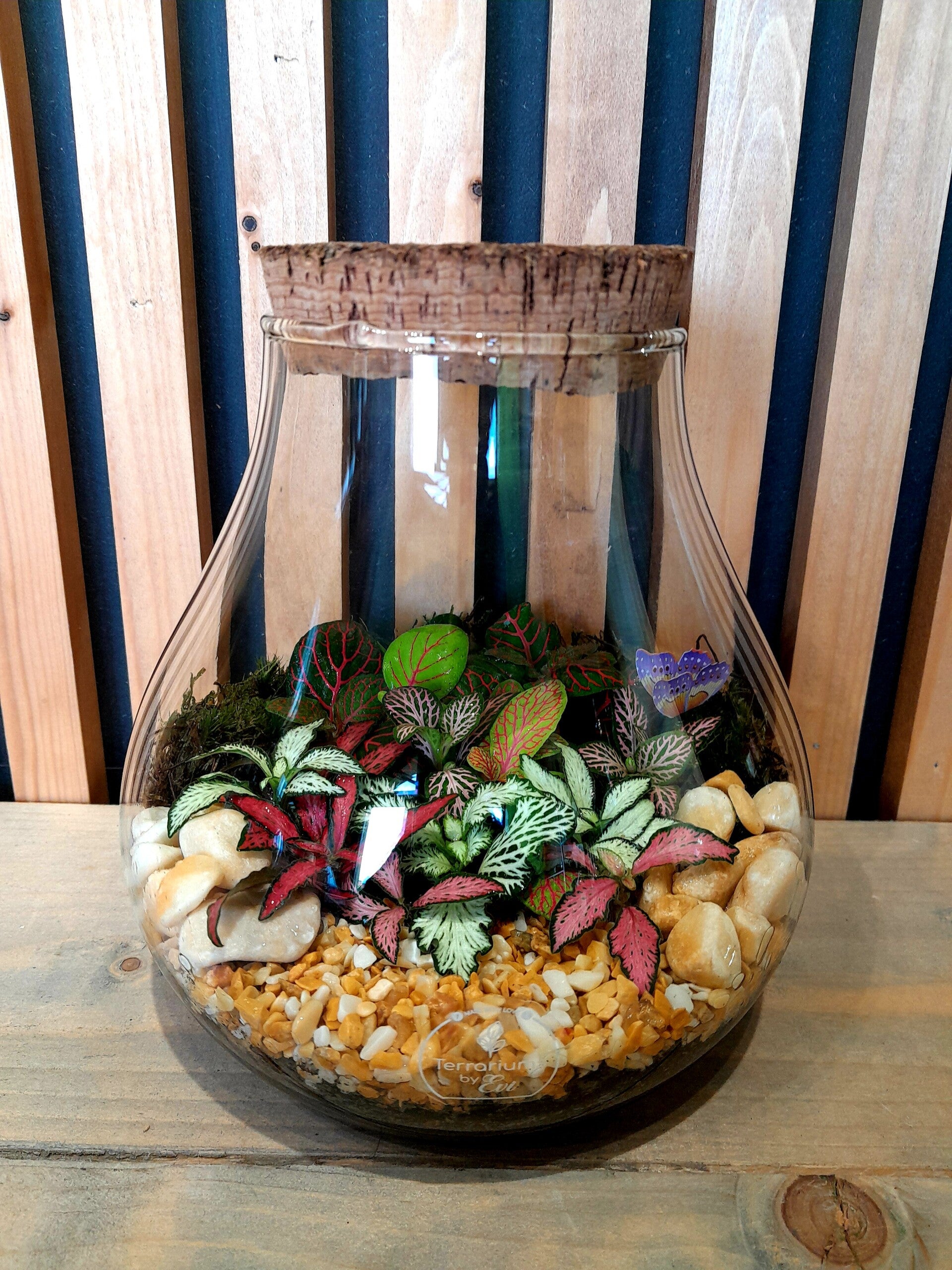 Terrarium Bijenkorf (smal)