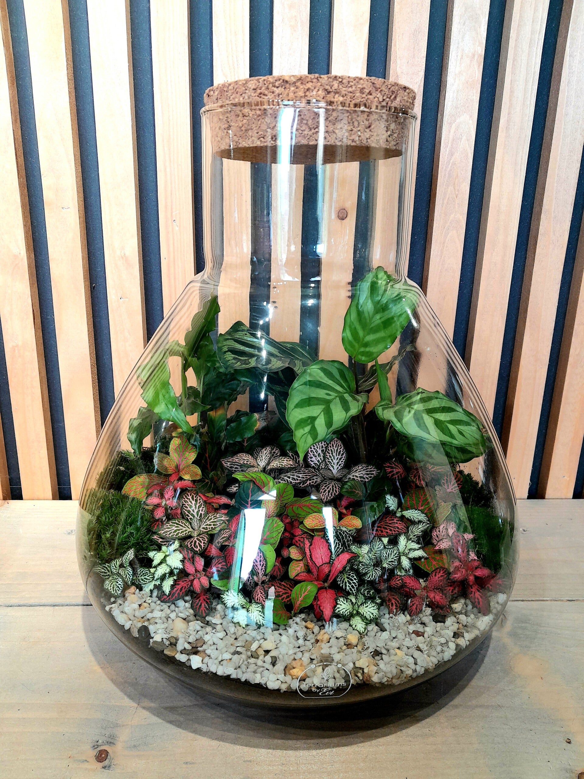 Terrarium Pyramide (groot)