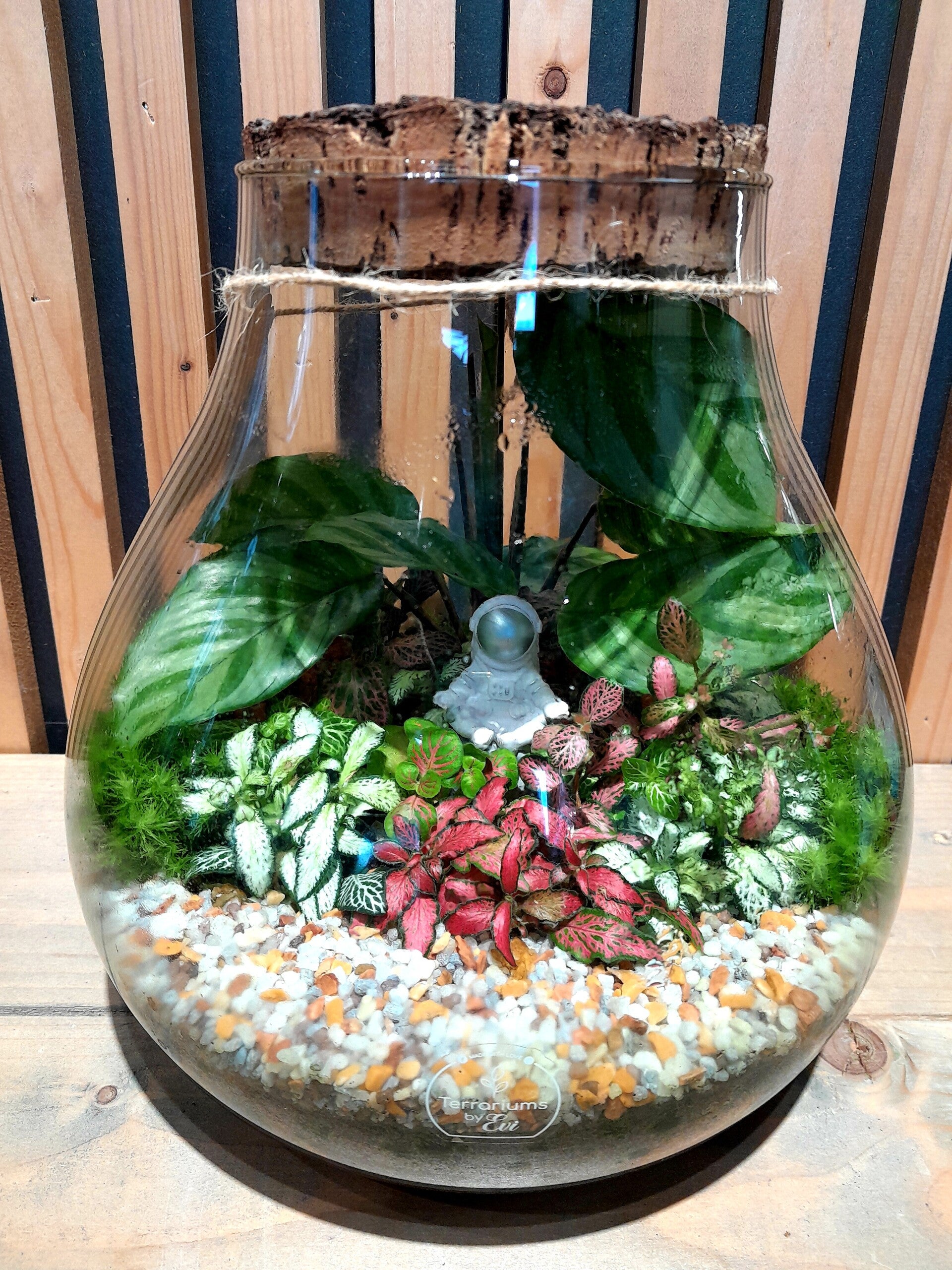 Terrarium Bijenkorf (medium)1