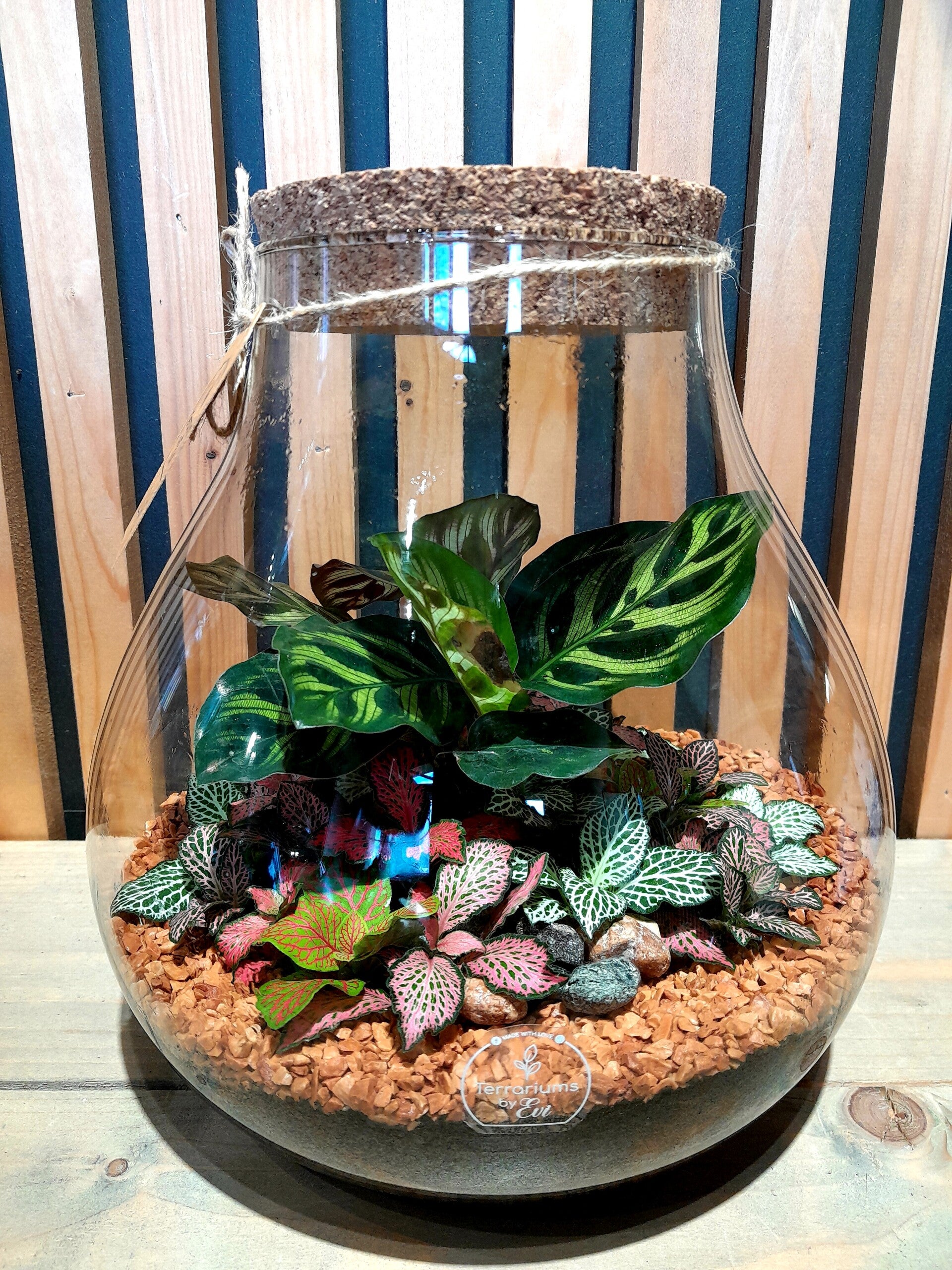 Terrarium Bijenkorf (medium)2