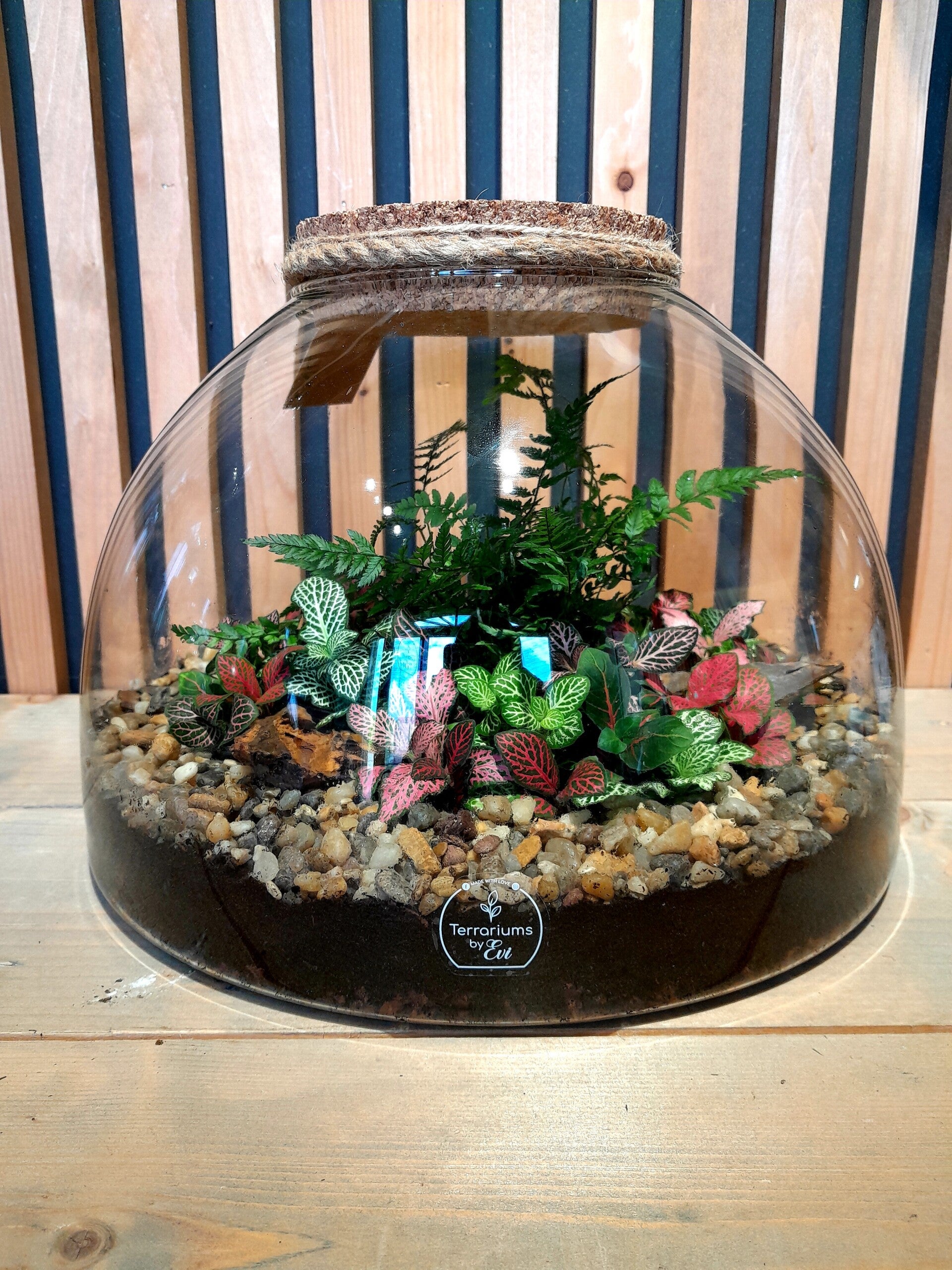 Terrarium Milan XL 4