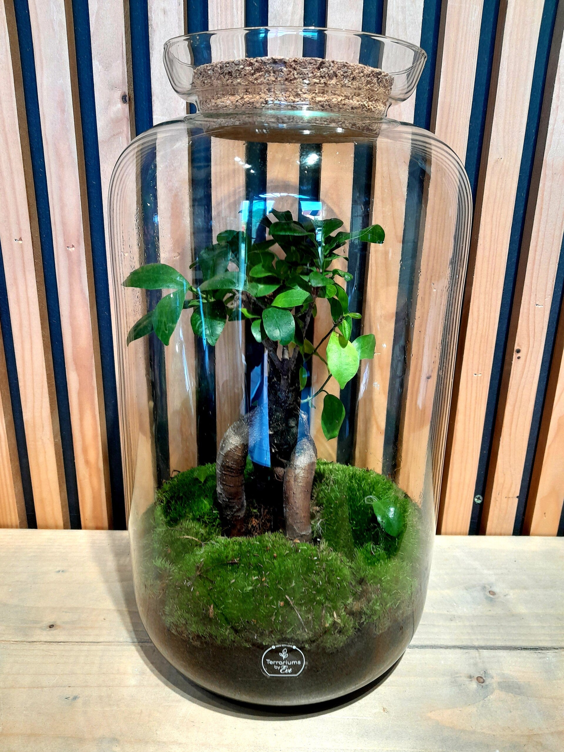 Terrarium Sven 5