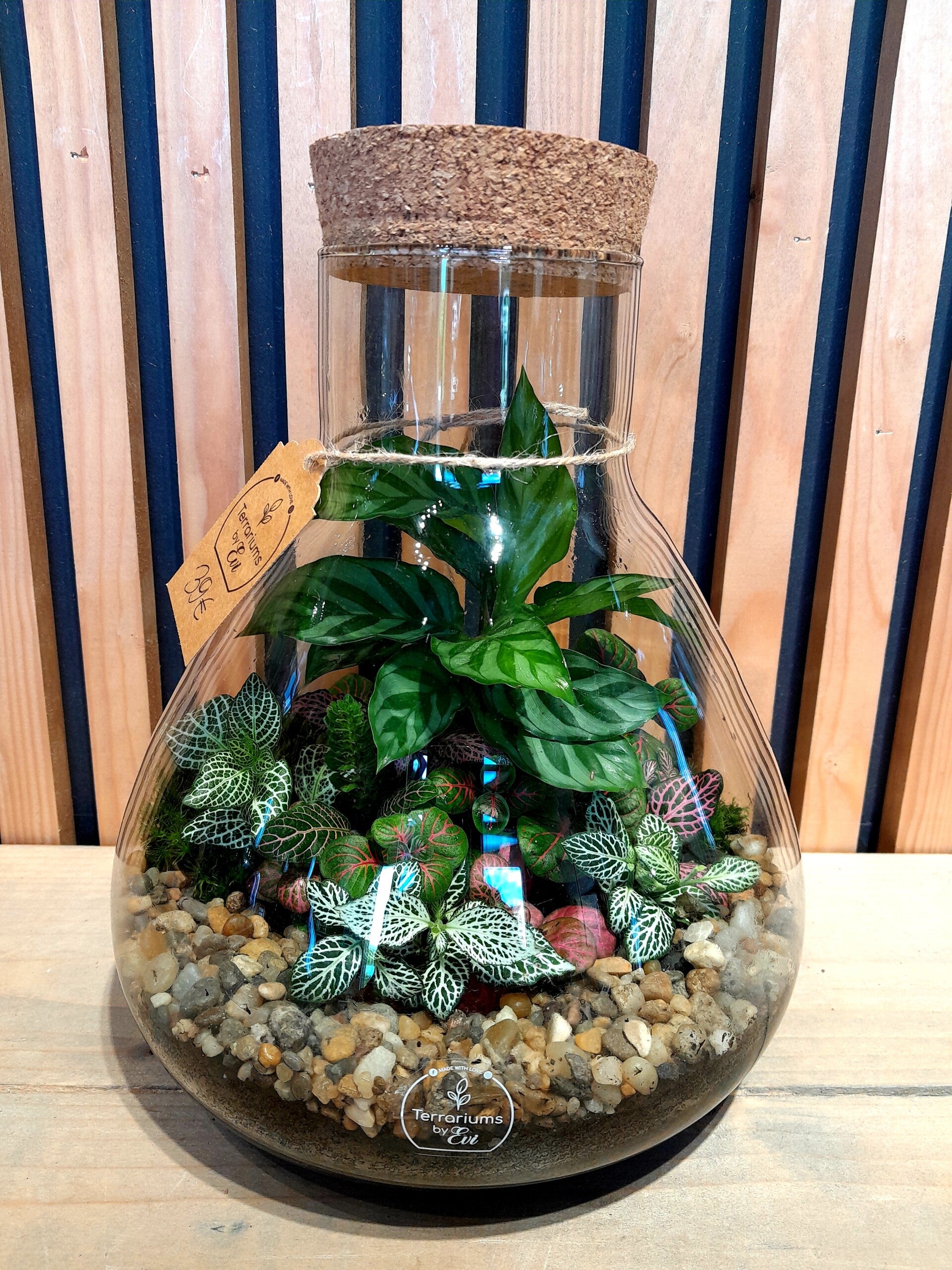 Terrarium Pyramide (medium) 6