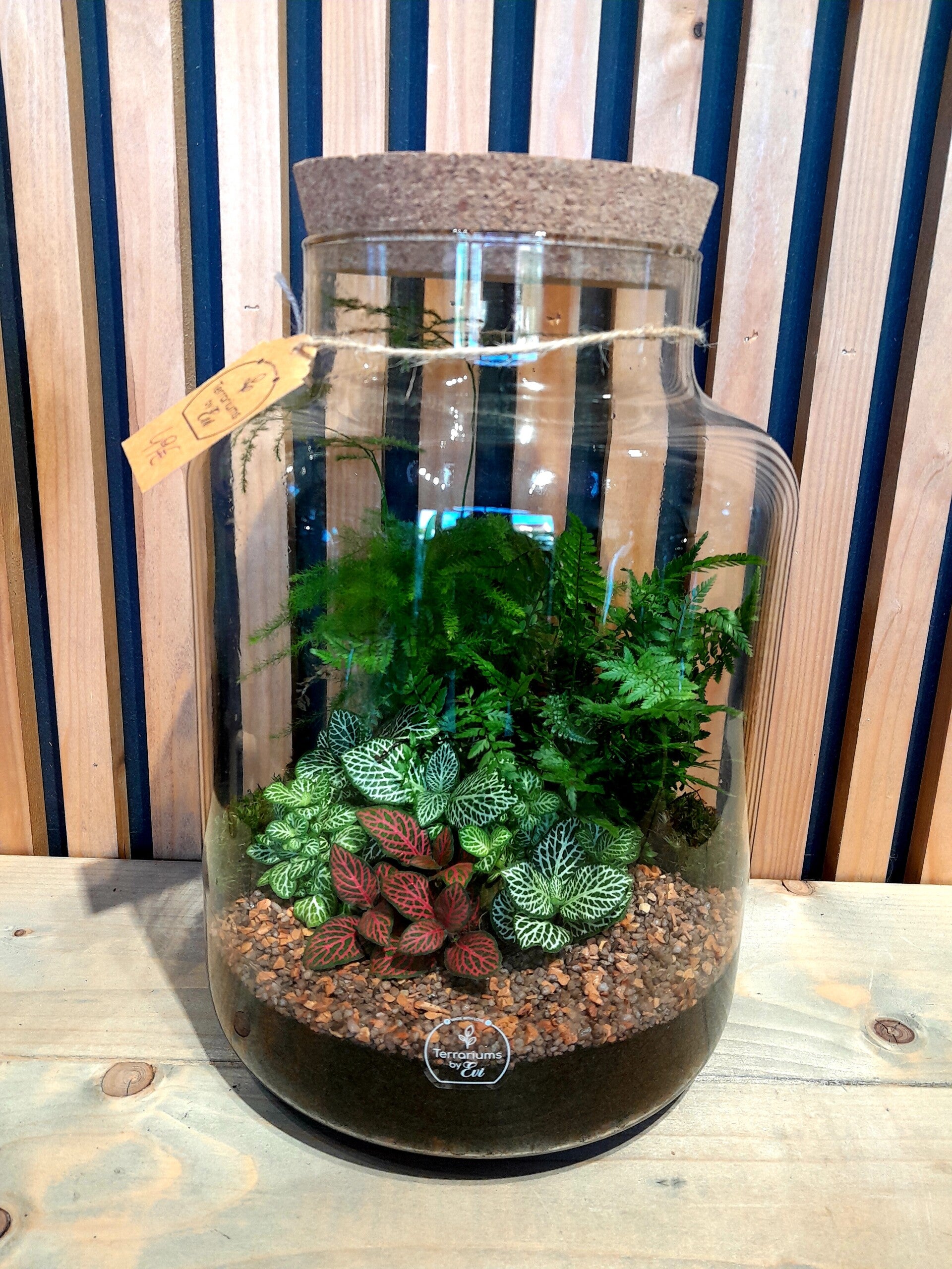 Terrarium Melkbus