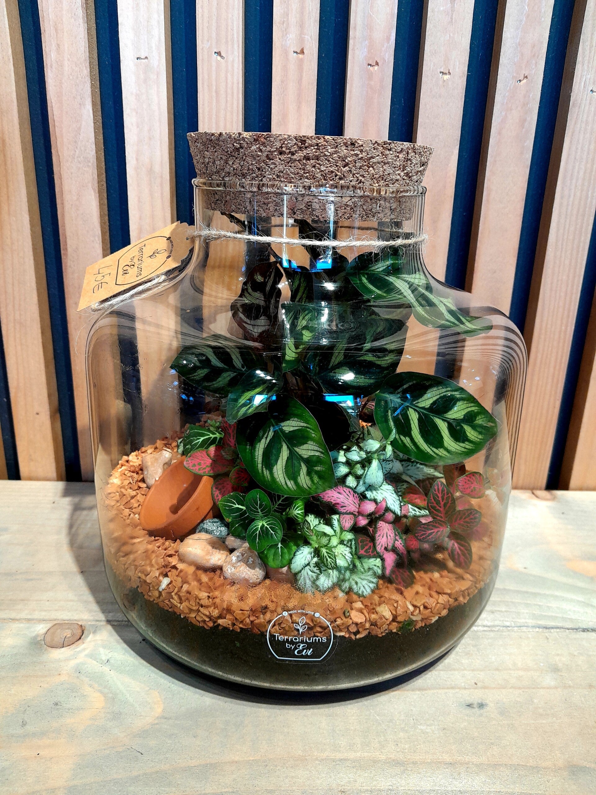 Terrarium Emiel 11