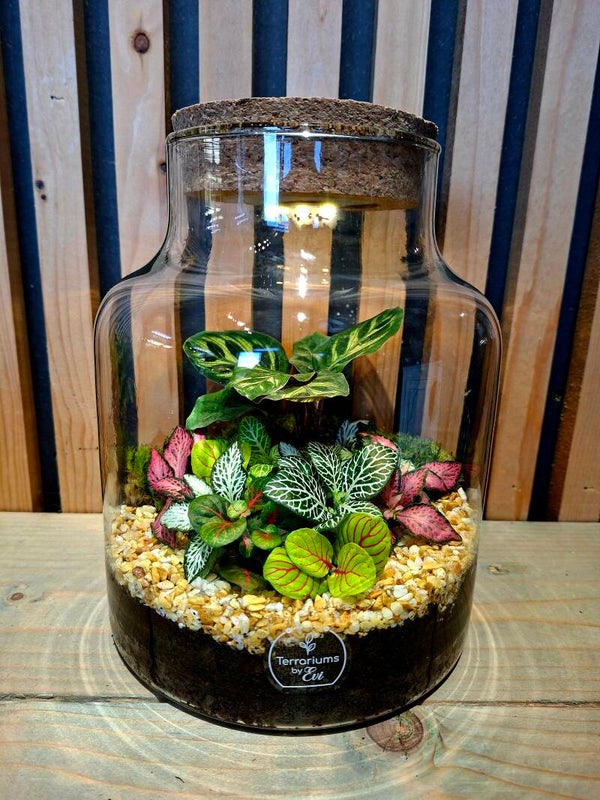 Terrarium Melkbus Small
