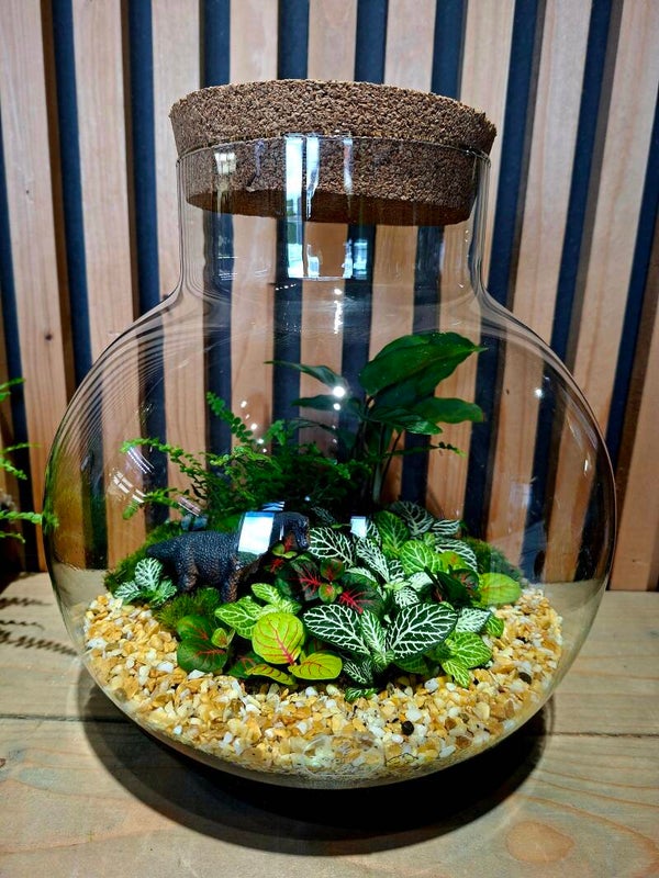 Terrarium Jurasic Theme