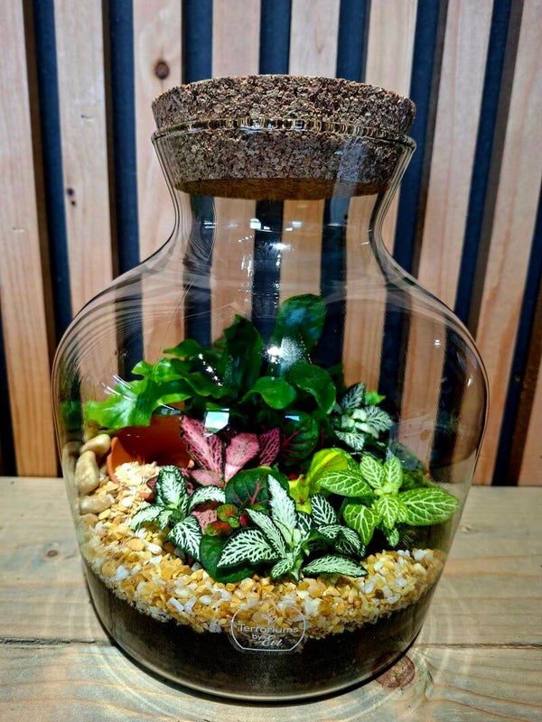 Terrarium Dean (small)