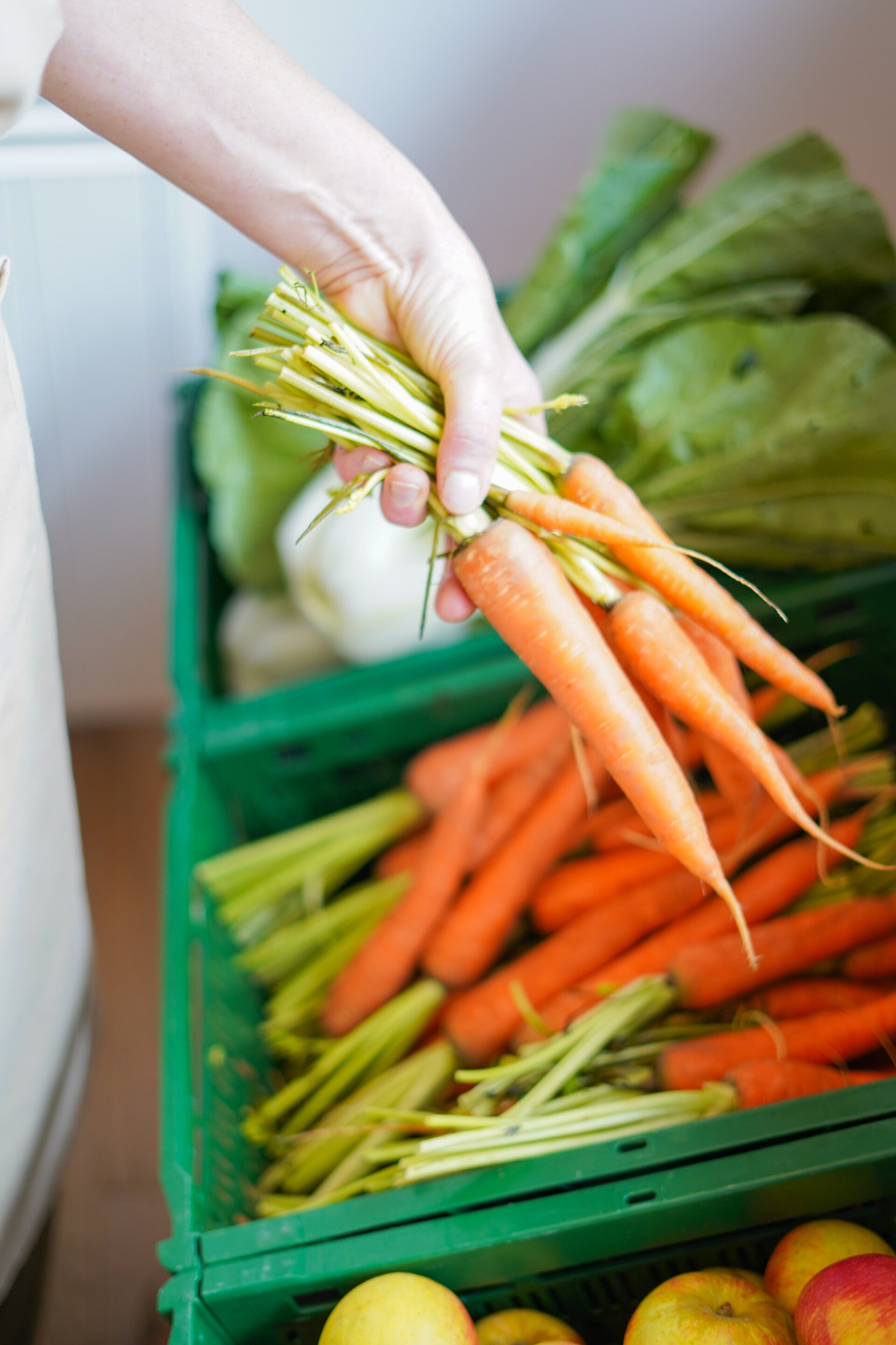 KarmaBox voor 1 persoon