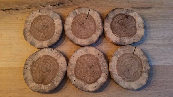 Coastr Onderzetters Eikenhout