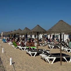beach-standard-3g9xdi.jpg
