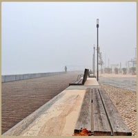 fog-tavira-standard.jpg
