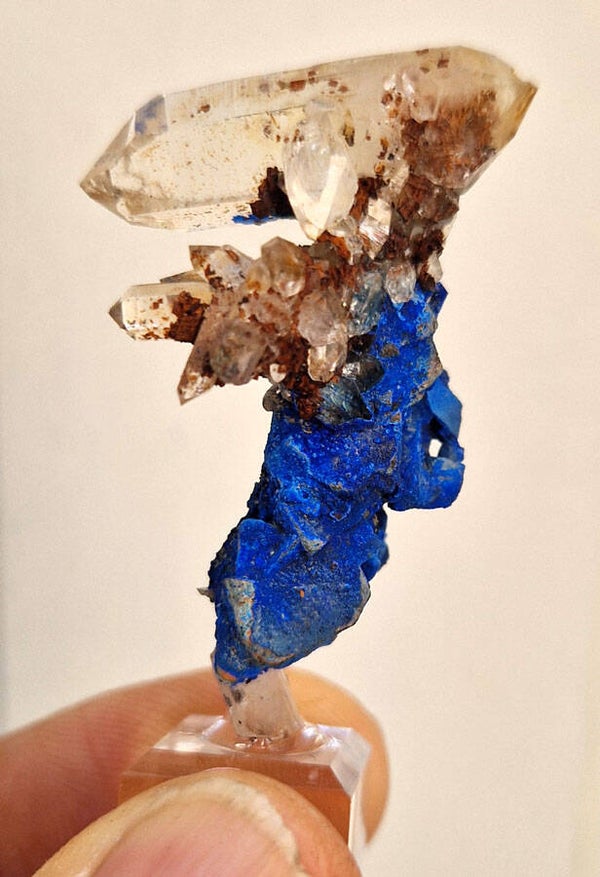 Pseudo morphose tetraedrite /Quartz