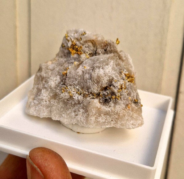 Or Natif / Native Gold