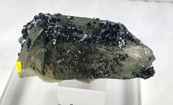 Hematite / Quartz chloriteux