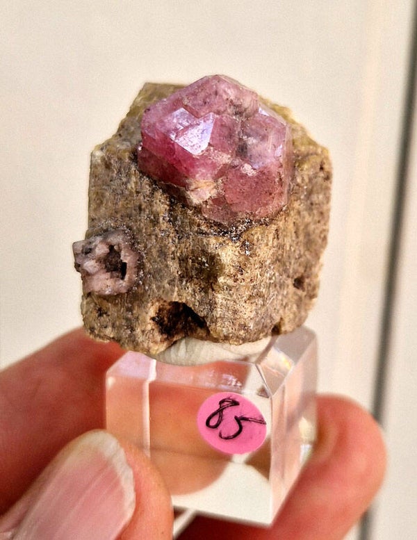 Grenat/cristal flottant de Vesuvianite