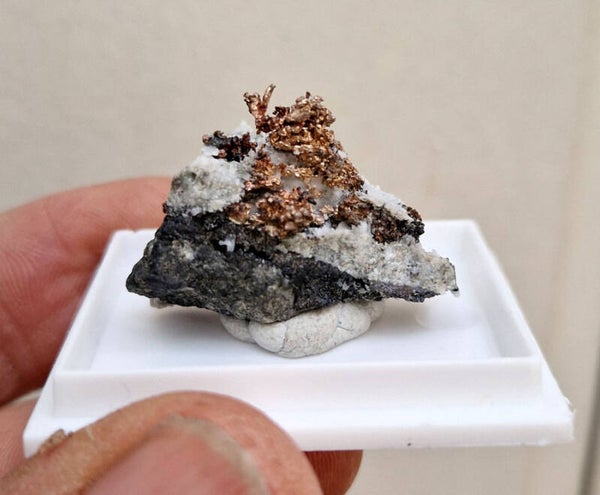 Argent Natif Cristalisé / Native Silver