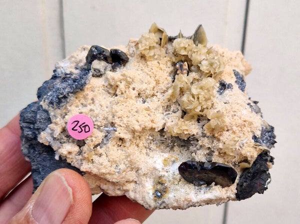Bournonite + Cannizzarite