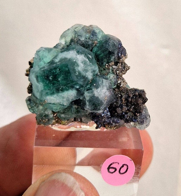 Fluortine verte/ Pyrite