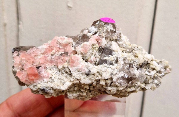 Fluorine Rose / Quartz fumé - Pink Fluorit on smoky Quartz