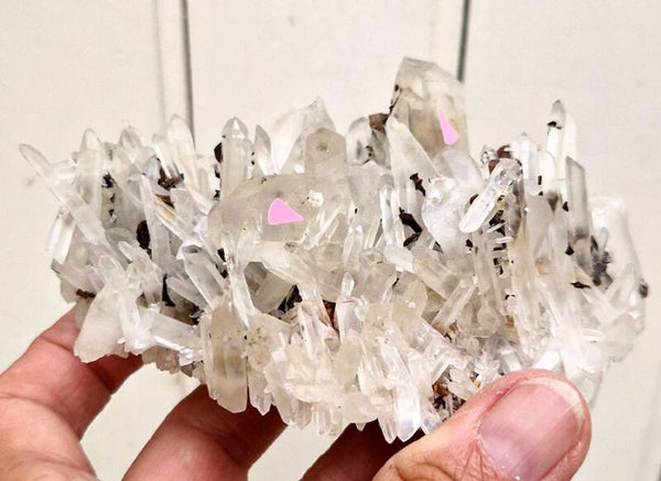 Grande macle Quartz