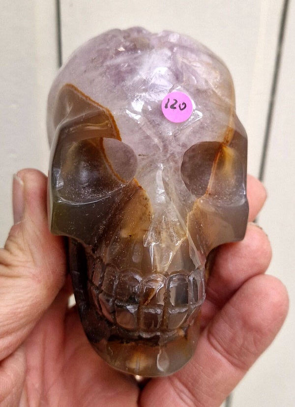 Tete de mort agate avec Geode amethyste