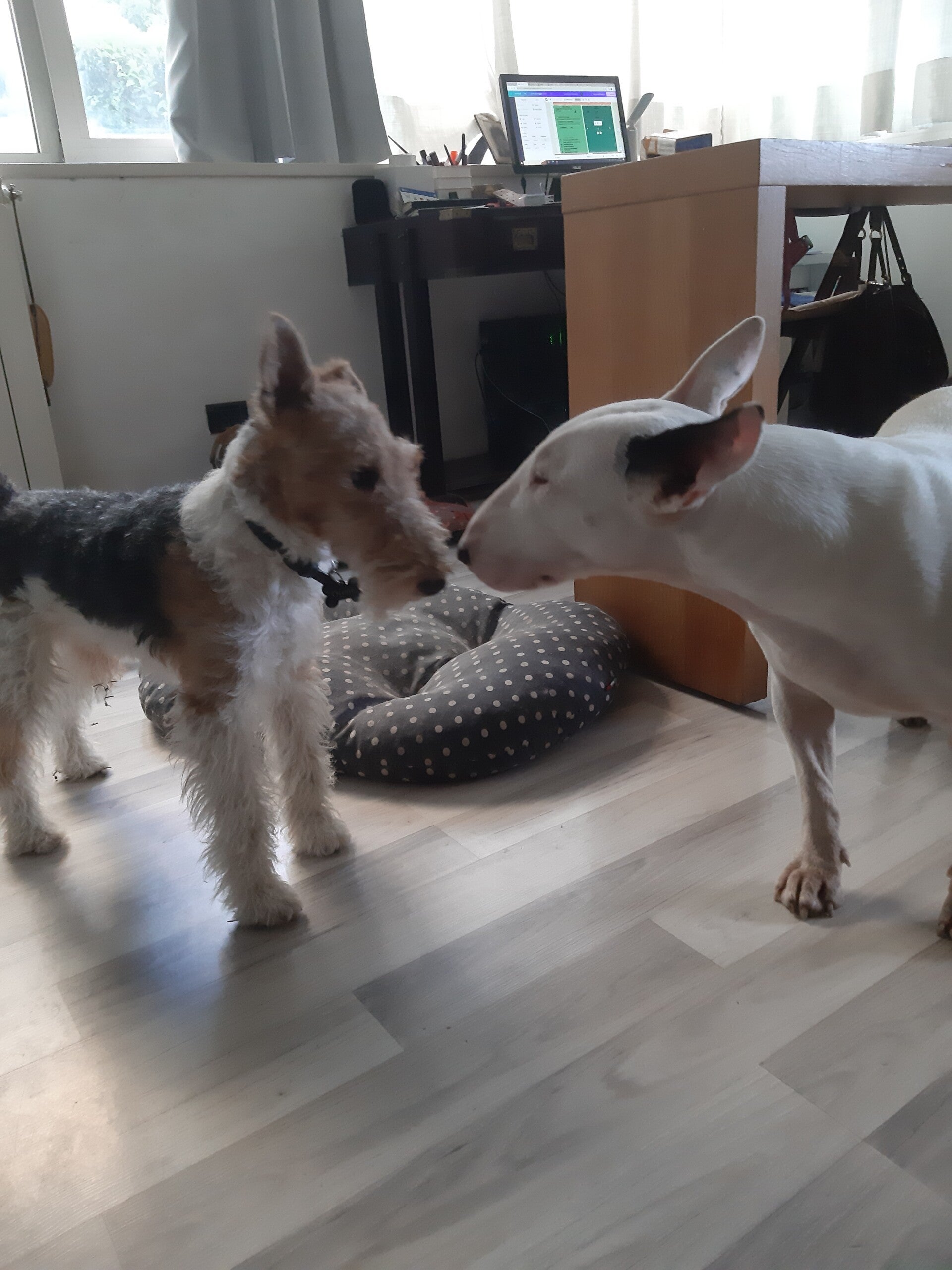 Pensione giornaliera lungo termine