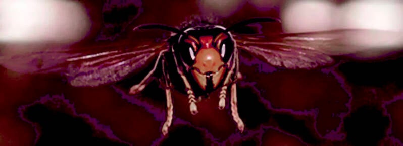 extrait Les portes d'Opale - roman Héroic Fantasy 