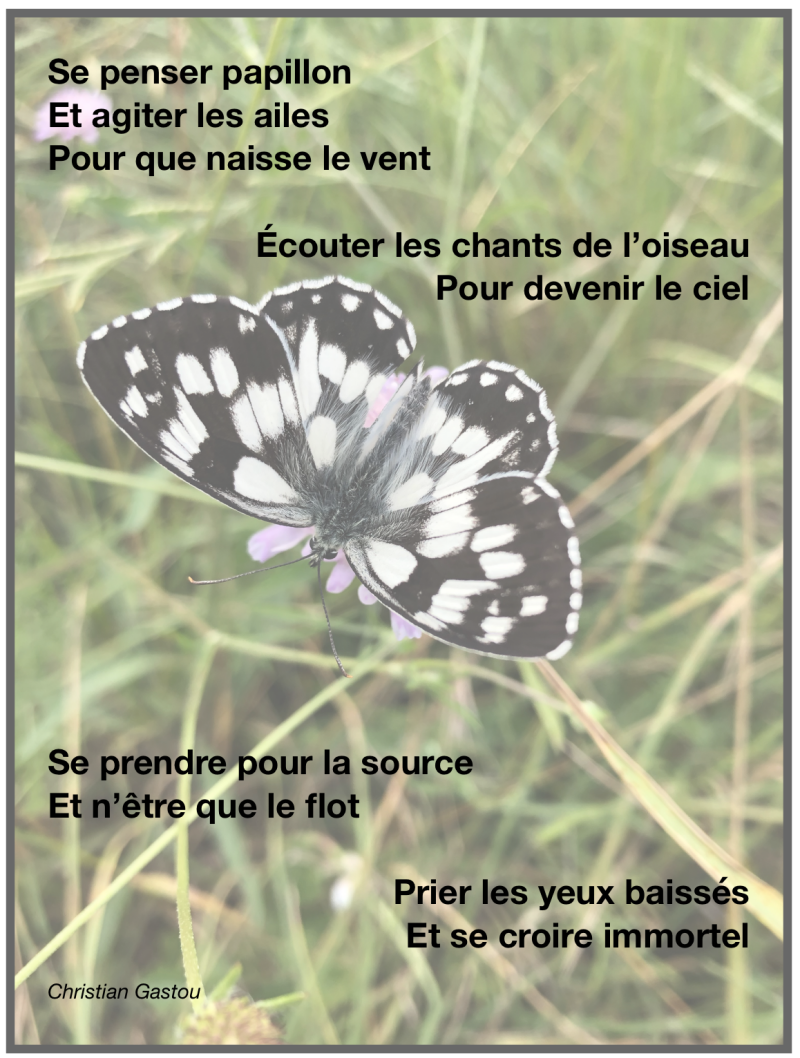 poème extrait du recueil de poésie la colère des ombres Christian Gastou 