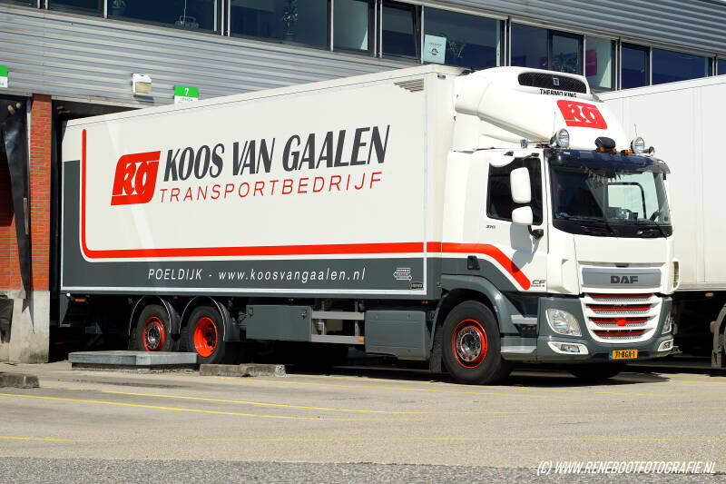 DAF-CF-370-FAN-FIRMA-KOOS-VAN-GAALEN-POELDIJK-BOUWJAAR-2016-KOPIE.jpg