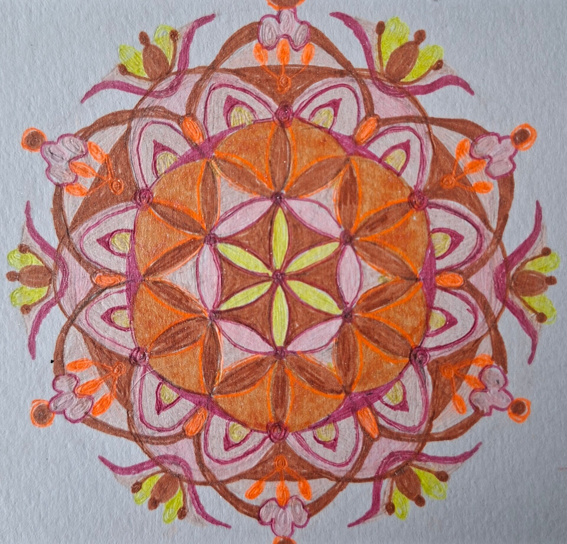 Workshop    MANDALA TEKENEN   vrijdag middag 1x