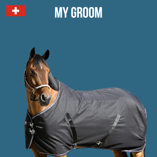 Chemise coton écurie - AF SPORT