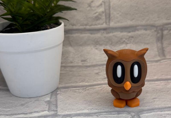 Owl Buddy 1