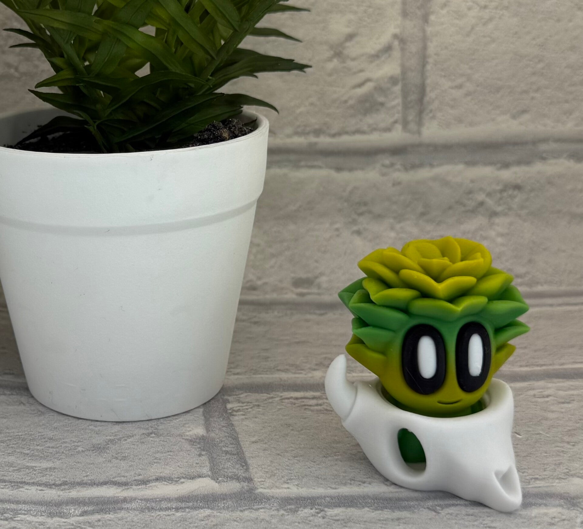 Succulent Buddy