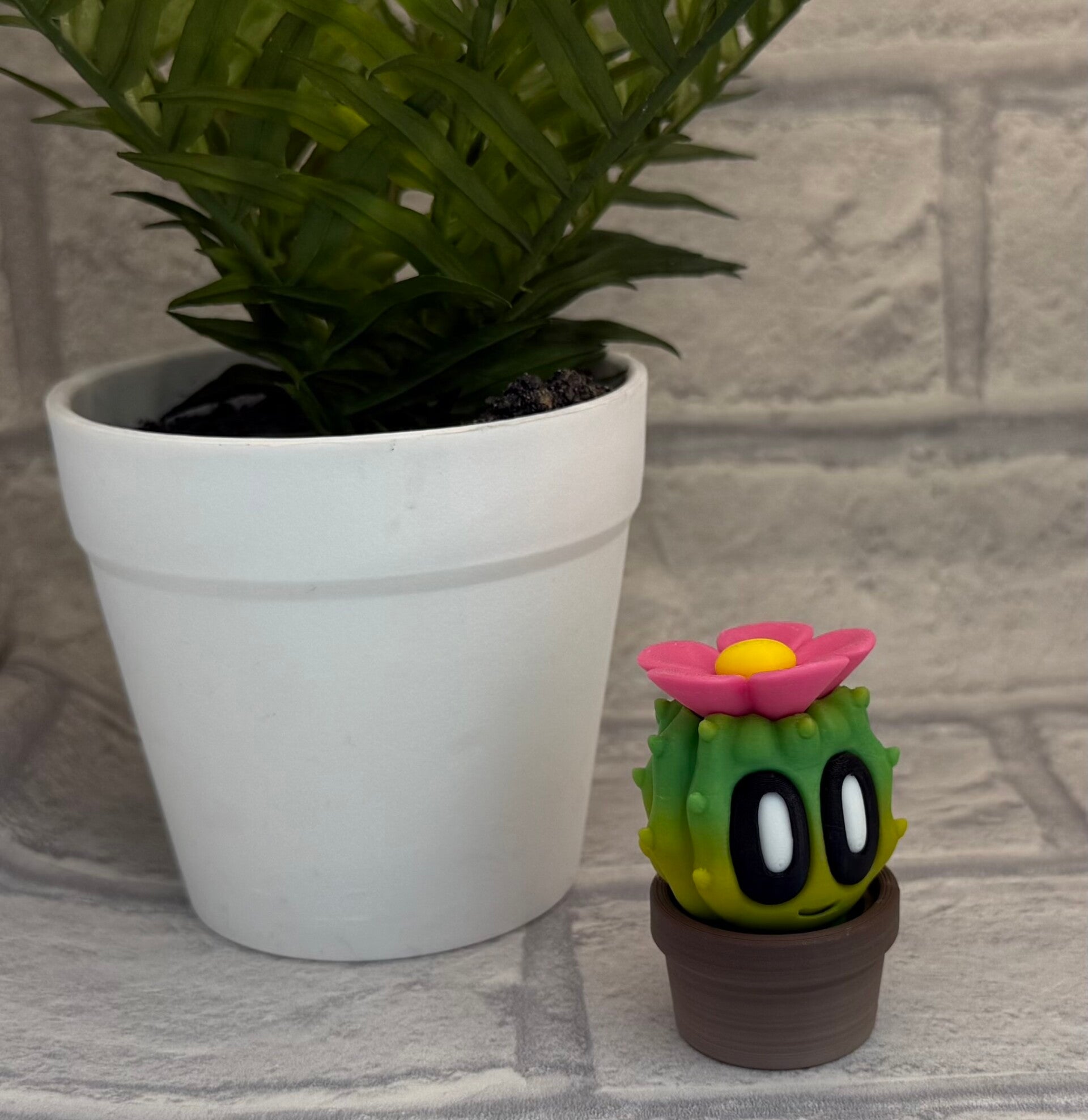 Barrel Cactus Buddy