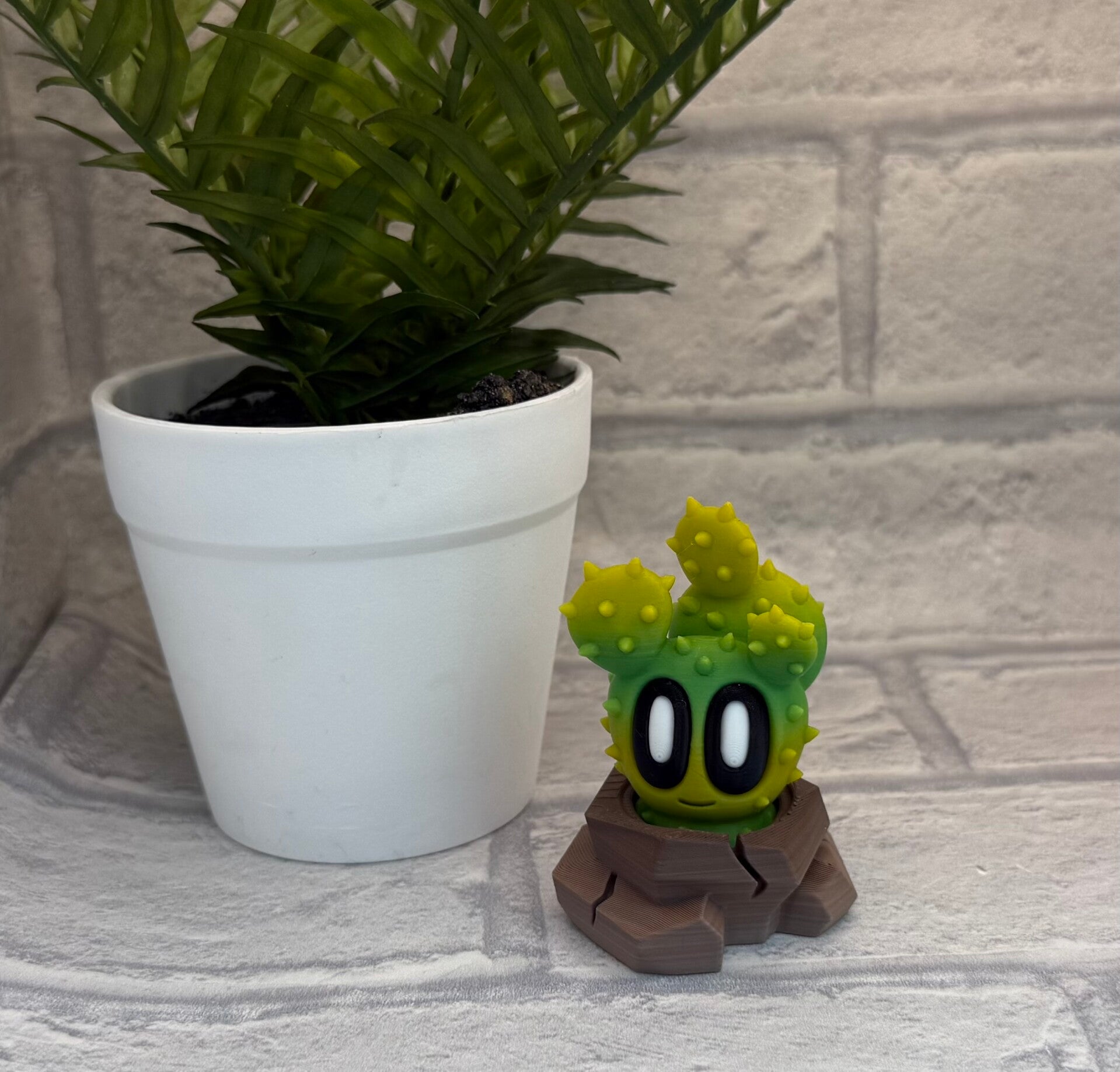 Prickly pear Buddy