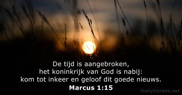 marcus-1-15-2-standard.jpg