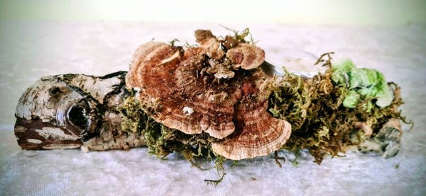 rustikaler Teelichthalter