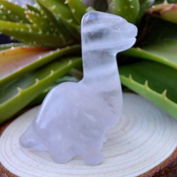 Collectibles - Brachiosaurus - Helder kwarts - 4 à 5 cm