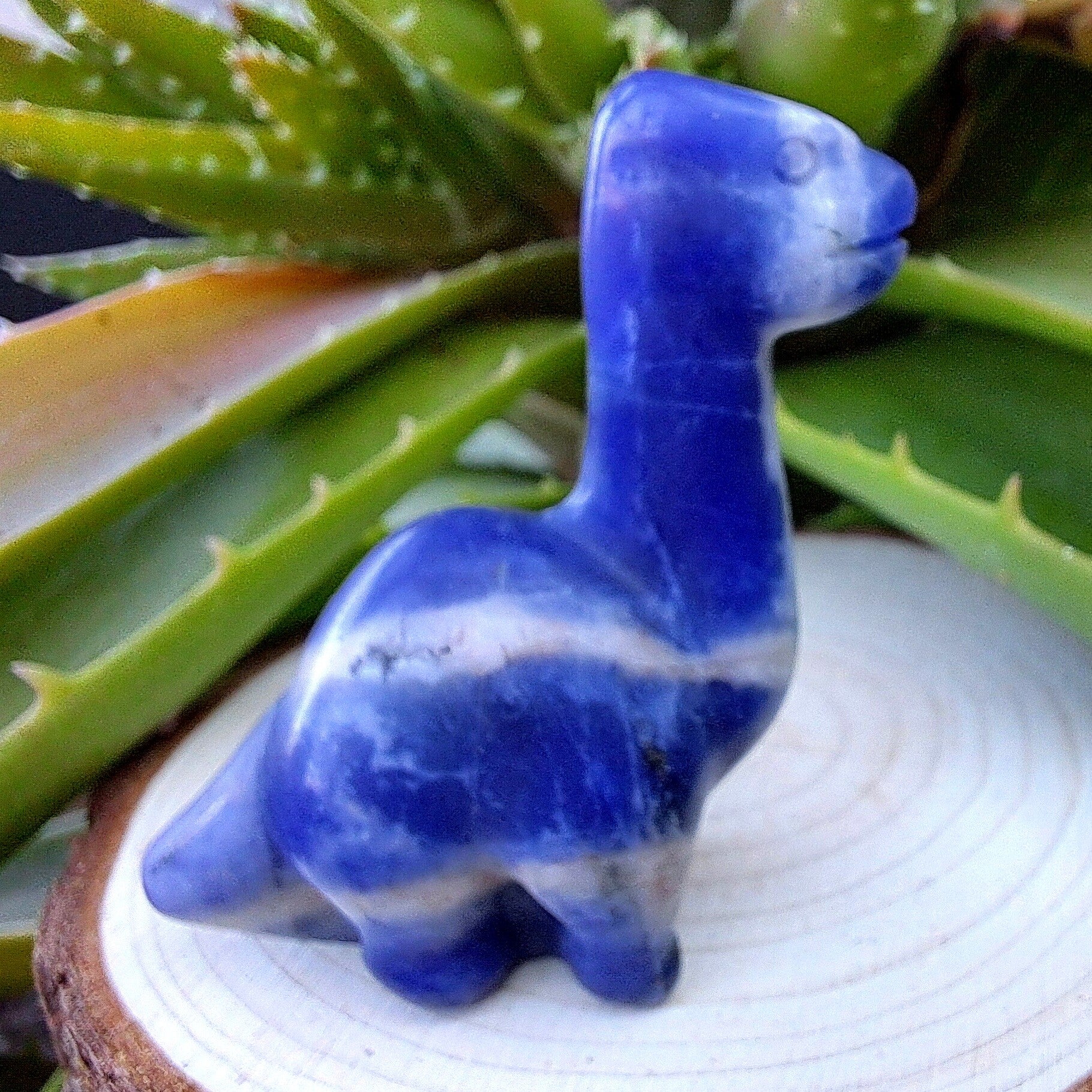 Collectibles - Brachiosaurus - Sodaliet - 4 à 5 cm