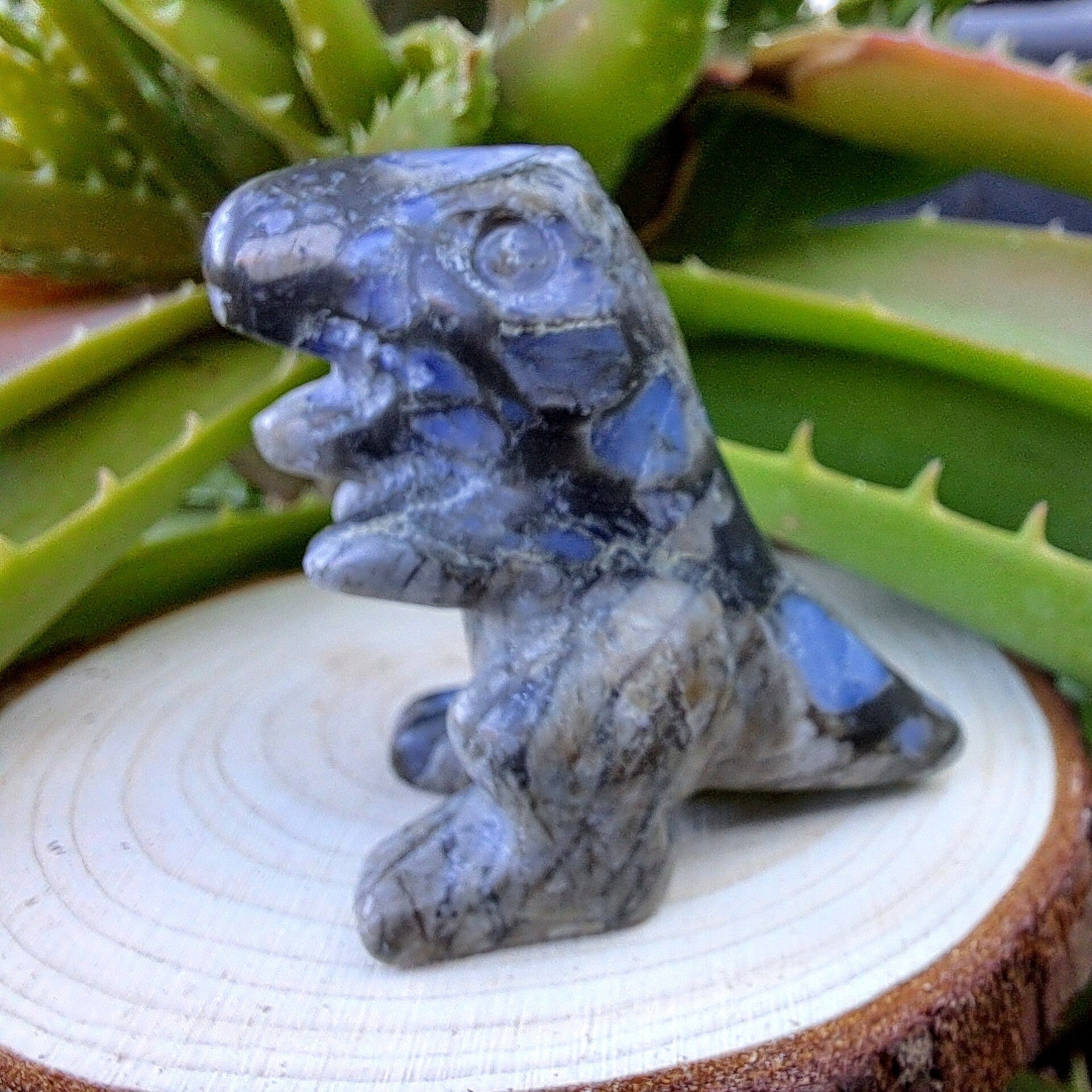 Collectibles - Tyrannosaurus Rex - Labradoriet - 4 à 5 cm