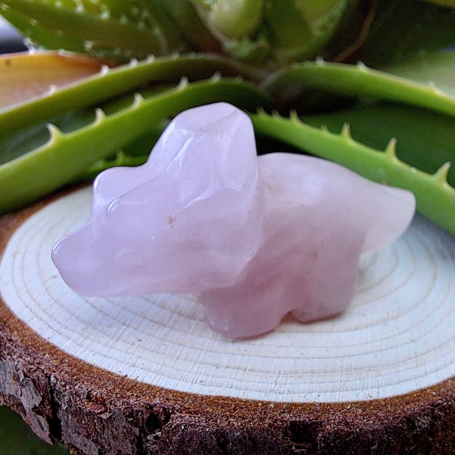 Collectibles - Triceratops - Rozenkwarts - +/- 4 cm