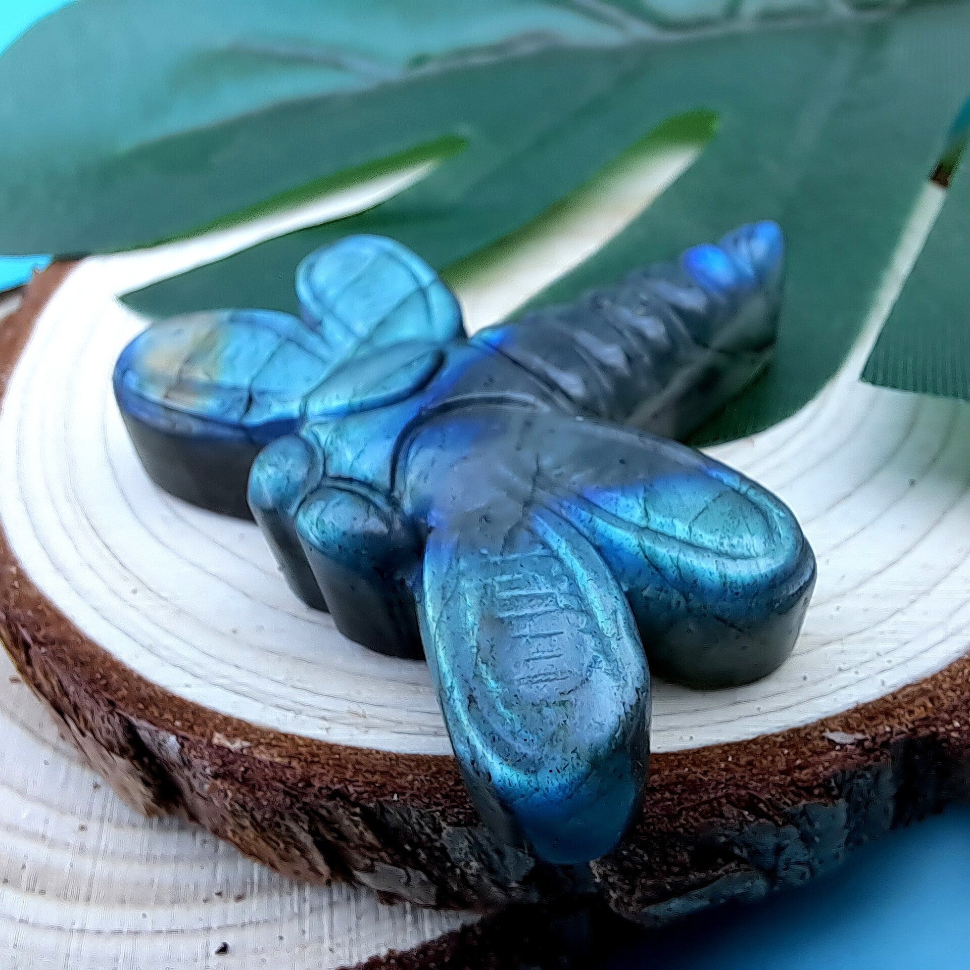 Collectibles - Libelle - Labradoriet - +/- 4 cm