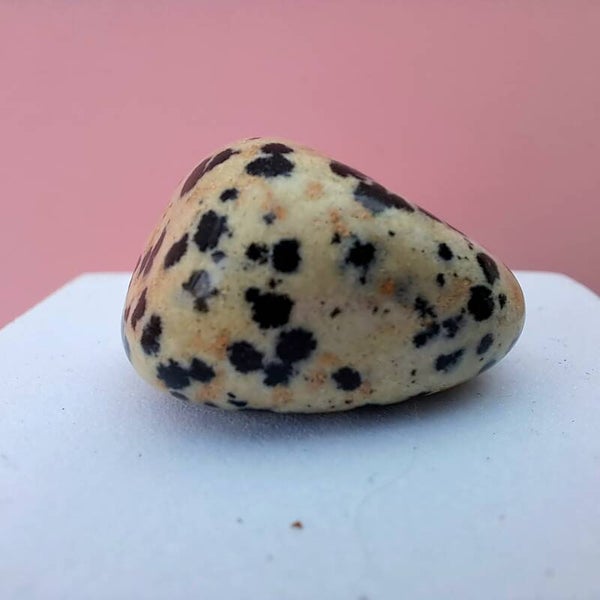 De kleine ontdekker - Dalmatiër jaspis - glad