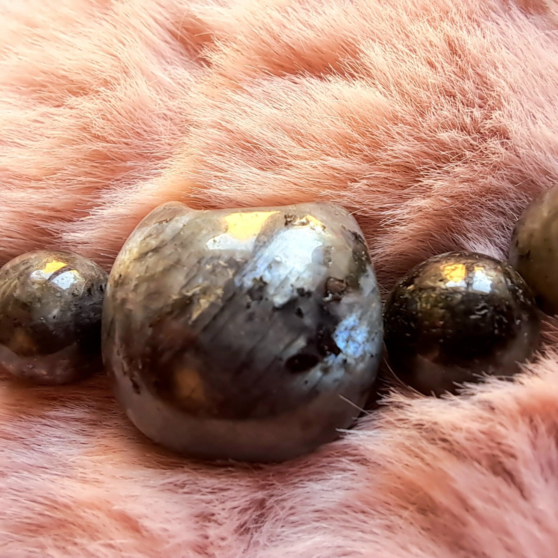 Armband - Kat - Labradoriet