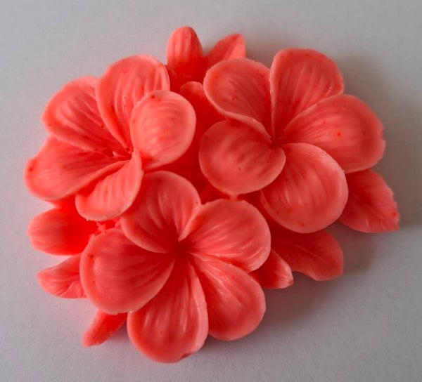 Neon Coral