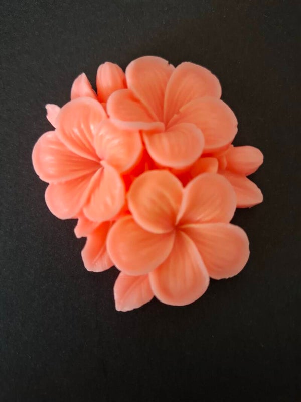 Glow in the dark nacht  coral