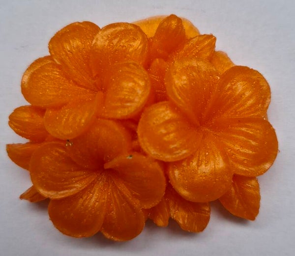 Vurige zonsondergang