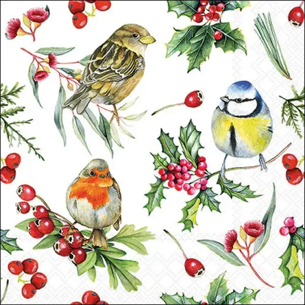 Birds in winter servetten 25 x 25 cm