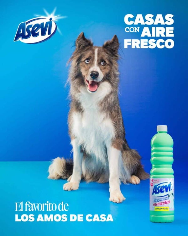 Asevi Mascotas